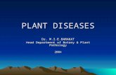 interoduction of Plant diseases