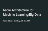 Micro architecture for machine learning big data