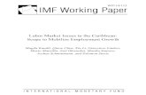 Labor Market Issues in the Caribbean: Scope to Mobilize ...