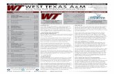 WT Volleyball Game Notes (11-16-16)