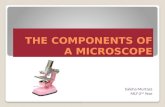 The components of a microscope