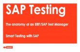 SAP Testen