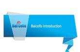 BaiCells Introduction & Product Introduction-EN-vf-updated