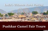 Pushkar Camel Fair and Festival Tours
