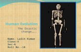 Human Evolution - The drastic change