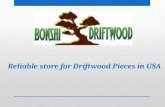 Attractive driftwood pieces for the mind blowing aquascape