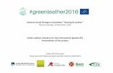 "greenLIFE" Project  in the plenary meeting of the Sectoral Social Dialogue Committee “Tanning & Leather” at the European Commission