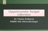 Opportunistic fungal infection