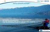 UNEP/MAP, 2013. Fishery activities assessment in Montenegro