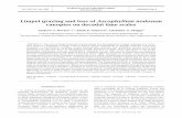 Limpet grazing and loss of Ascophyllum nodosum canopies on ...