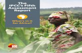 The IPCC's Fifth Assessment Report | What's in it for Africa?