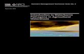 Introduction to Waterborne Pathogens in Agricultural Watersheds