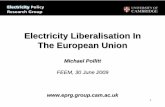 Liberalisation of the European Electricity Market