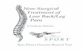 Non-Surgical Treatment of Low Back/Leg Pain