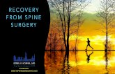 Recovery From Spine Surgery