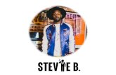 Artist Pitch - Stevie B