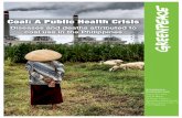 Coal: A Public Health Crisis