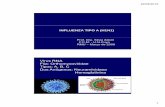 Virus RNA Flia: Orthomyxoviridae Tipos: A, B, C Dos Antígenos ...