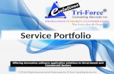 Service Portfolio of Tri-Force Consultancy Service Inc.
