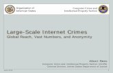 Investigating Large-Scale Internet Crimes