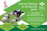 Scottish Agricultural College brochure about Johne's Disease