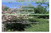 Lehi City Tree Selection Guide