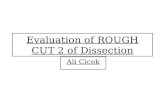 Evaluation of rough cut 2 of dissection