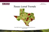 Roel Lopez Texas Land Trends