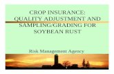 Crop Insurance Quality Adjustment and Sampling Grading for ...