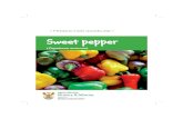 Production guideline: Sweet pepper
