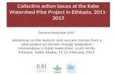 Collective action issues at the Kabe Watershed Pilot Project in Ethiopia, 2011-2013