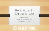 Navigating Electronic Signature Law In Florida