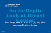 Tara PowerPoint An In Depth Look At Breast Cancers