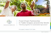 Food Chain Partnership in Table Grapes around the World
