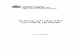 BIOLOGY AND ECOLOGY OF RICE IN AUSTRALIA