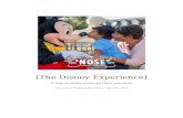 Disney Experience Report