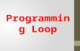 Programming loop