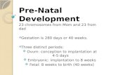 Foetal development and growth in humans