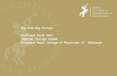 Big Data Big Picture - Professor Derek Bell