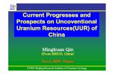 Current Progresses and Prospects on Uncoventional Uranium ...