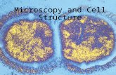 Day #1: Microscopy and Cell Structure