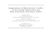 Regulation of Membrane Traffic at the Golgi Apparatus by ...