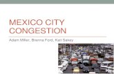 MEXICO CITY CONGESTION