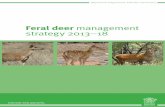Feral deer management strategy 2013-18 (PDF, 2.4MB)