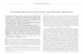 Frontal-Subcortical Circuits and Human Behavior