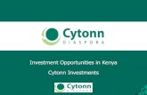 Investment Opportunities in Kenya Cytonn Investments
