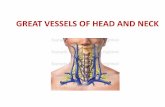 Head and neck blood vessels 2