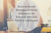 Business Growth Strategy for Niche Businesses: An Interview with Josh Cohen of Junkluggers