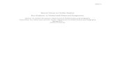 Honors Essay in Global Studies Eco-Fashion: A Global and ...