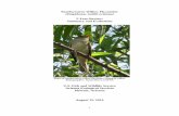 Southwestern Willow Flycatcher 5-Year Review